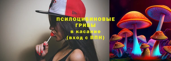 ГАЛЛЮЦИНОГЕННЫЕ ГРИБЫ Лихославль
