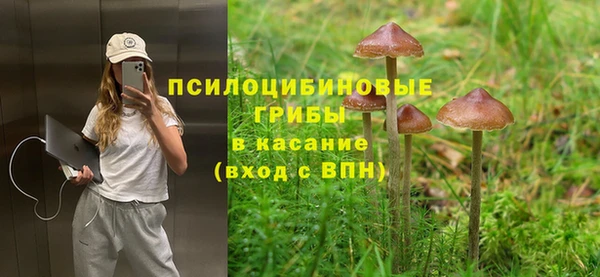 ALPHA PVP Алзамай